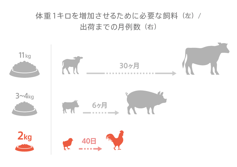 体重1キロを増加させるために必要な飼料(左)と出荷時月例（右）